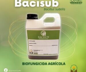 Bacisub – Biofungicida Agrícola