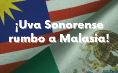 ¡Uva Sonorense rumbo a Malasia!