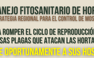 Ventana Libre de Cultivos de Hortalizas