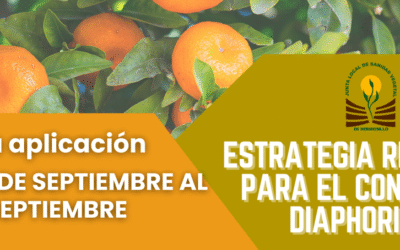 Cuarta aplicación: Estrategia Regional para el Control de Diaphorina citri.