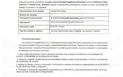 ¡Tenemos una Oportunidad para ti!